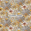 Alejandria Auburn - 100% Cotton - 280cm Wide