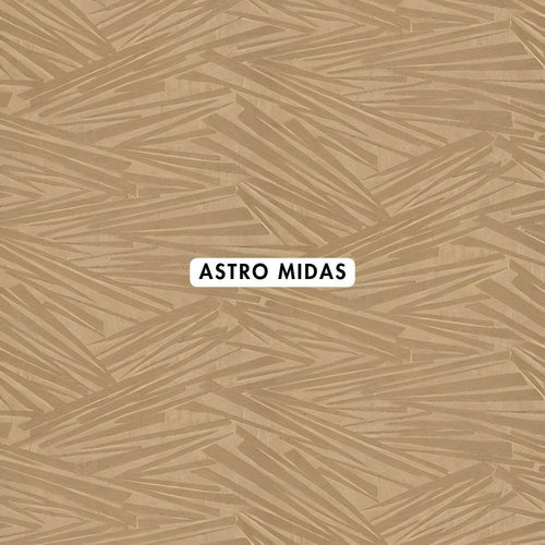 Astro Midas Wallpaper - CurtainWorld.Online