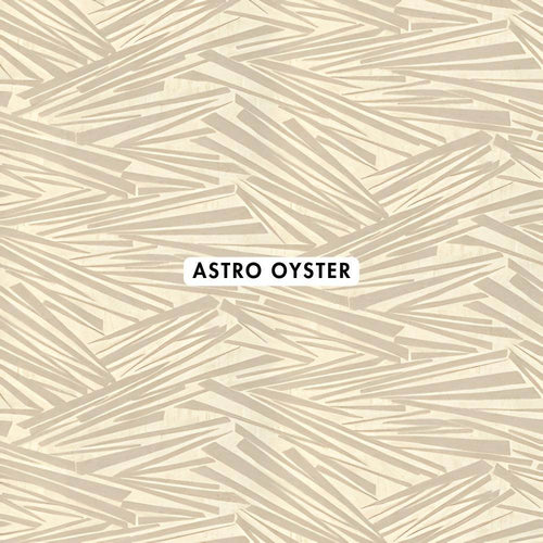 Astro Oyster Wallpaper - CurtainWorld.Online