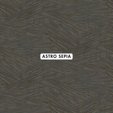 Astro Sepia Wallpaper