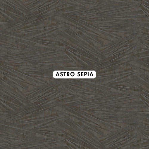 Astro Sepia Wallpaper - CurtainWorld.Online