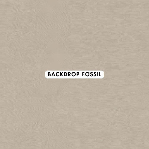 Backdrop Fossil Wallpaper - CurtainWorld.Online