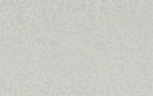 Load image into Gallery viewer, Baroque Sand Translucent Roller Blinds