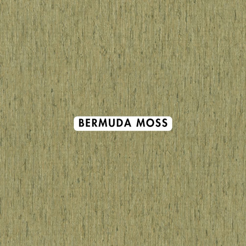 Bermuda Moss Wallpaper