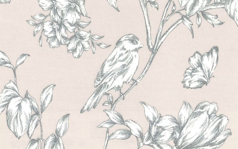 Bloomy Birds Pink Robin Translucent Roller Blinds