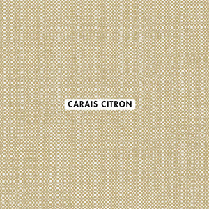 Carais Citron Outdoor Fabric