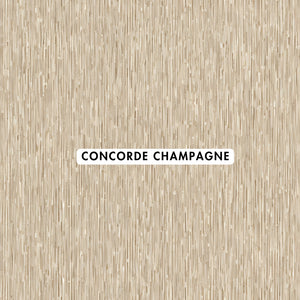 Concorde Champagne Wallpaper