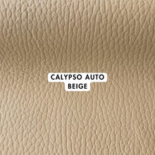 Load image into Gallery viewer, Calypso Auto Range