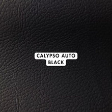 Load image into Gallery viewer, Calypso Auto Range