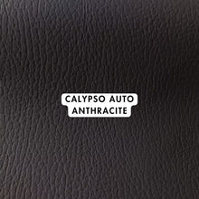 Load image into Gallery viewer, Calypso Auto Range