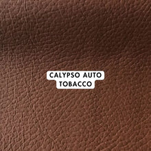 Load image into Gallery viewer, Calypso Auto Range
