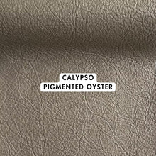 Load image into Gallery viewer, Latin Range