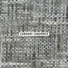 Load image into Gallery viewer, Luxe Upholstery Fabric