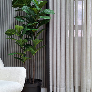 Esprit Curtain Fabric