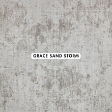 Load image into Gallery viewer, Grace Sand Storm Abstract Rug