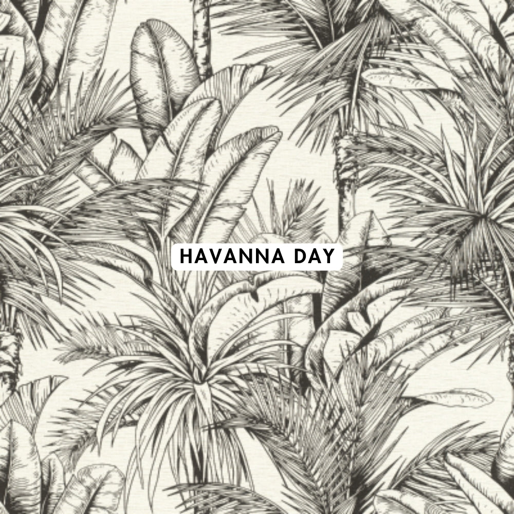 Havanna Day Wallpaper