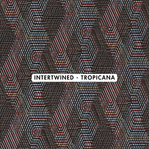 Intertwined Tropicana Wallpaper