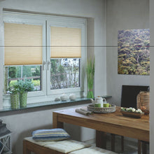 Load image into Gallery viewer, Lumi Cel Losana Transparent Blinds