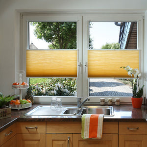 Lumi Cel Losana Transparent Blinds