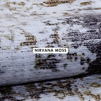 Nirvana Moss Abstract Rugs