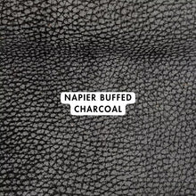 Load image into Gallery viewer, Nappier Buffed Range