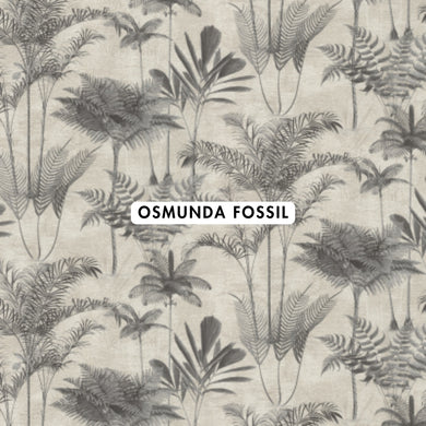 Osmunda Fossil Wallpaper