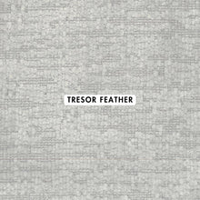 Load image into Gallery viewer, Luxe Upholstery Fabric