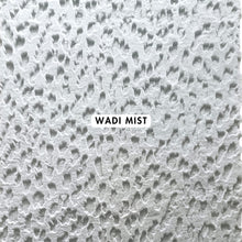 Load image into Gallery viewer, Wadi Mist Abstract Rug