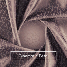 Load image into Gallery viewer, Cinematic Premium Curtain Fabric (R550/m)