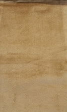 Load image into Gallery viewer, Sola 2 Seater Sofa